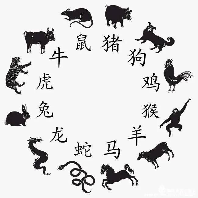 挑灯夜读打一准确生肖的全面释义、解释与落实、前沿解答解释落实