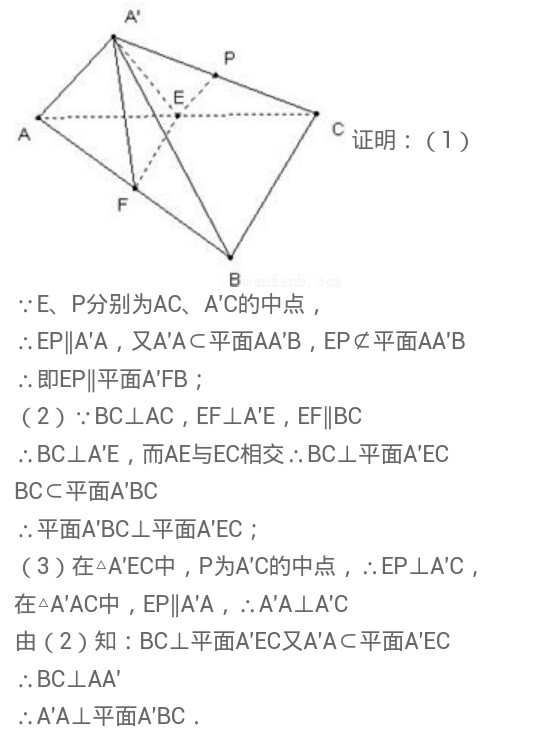 晓星下沉是什么生肖，详细解答、精准解答解释落实